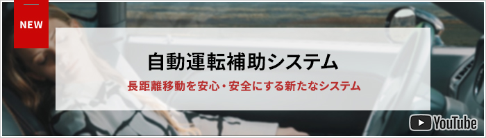 自動運転補助システム